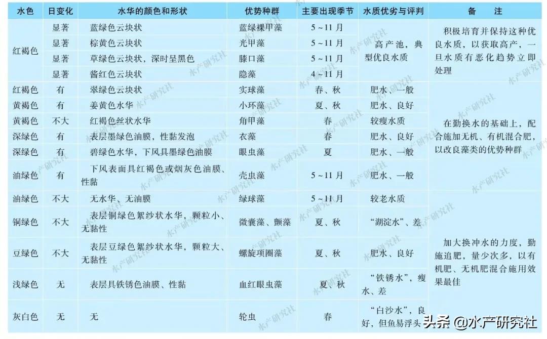 如何看水质好坏,怎样分辨水质好坏