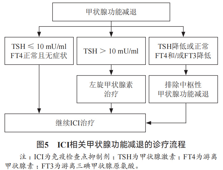 消化系统恶性肿瘤合理用药指南,胃肠道肿瘤免疫治疗前景