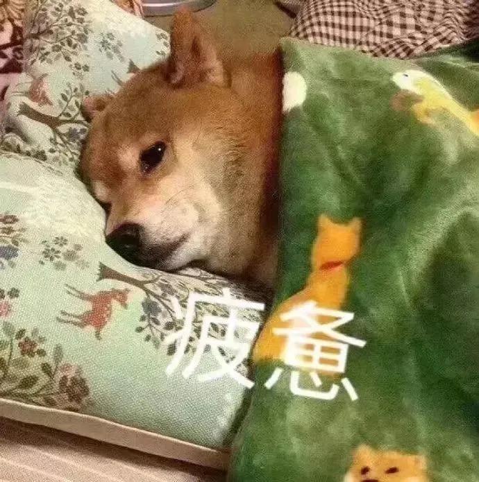 优微推荐|感到焦虑、疲倦?快停止你的精神内耗