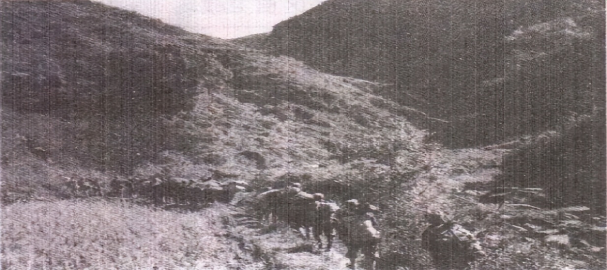 东野西野华野中野华北介绍,东野西野中野华野