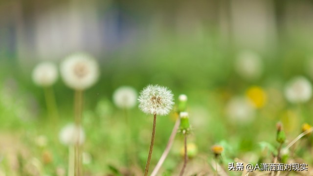 丈夫发现妻子出轨最好的处理方法,妻子出轨丈夫的正确处理方法