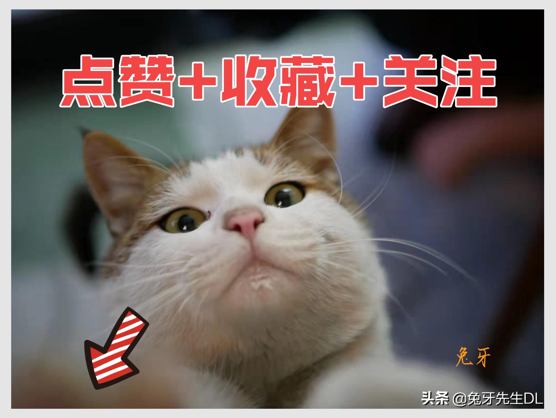 360k980行车记录仪测评,360行车记录仪k980使用体验