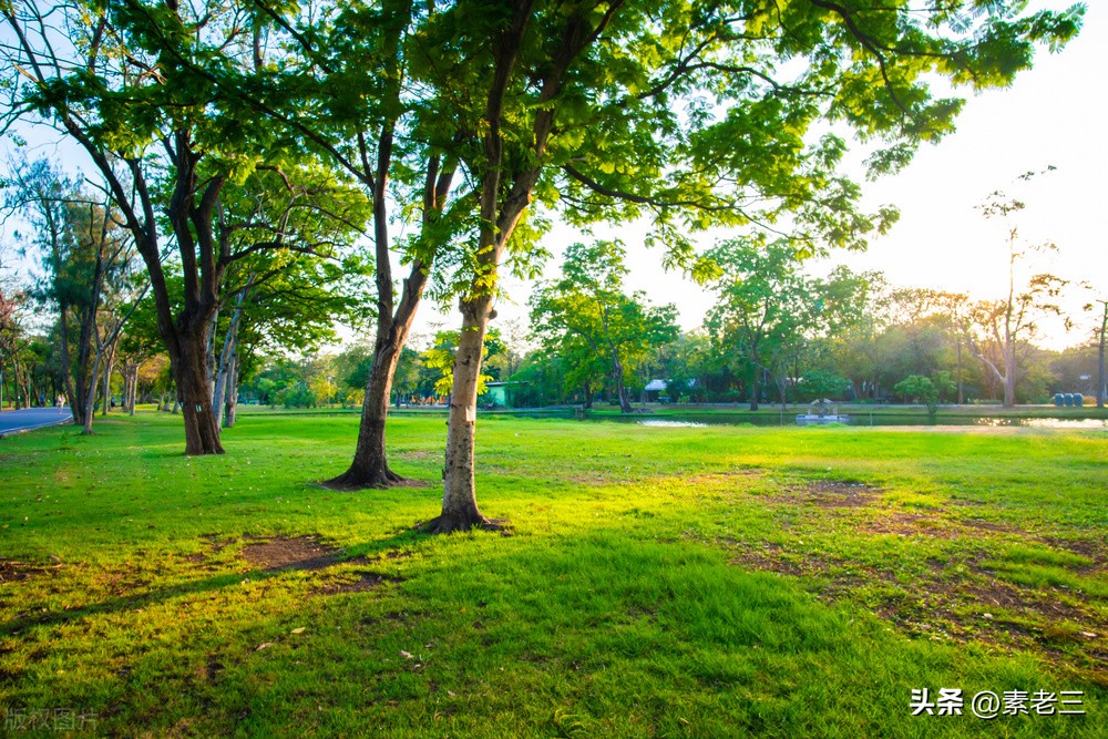 女作家去做保姆和雇主过招,女作家去做保姆982集