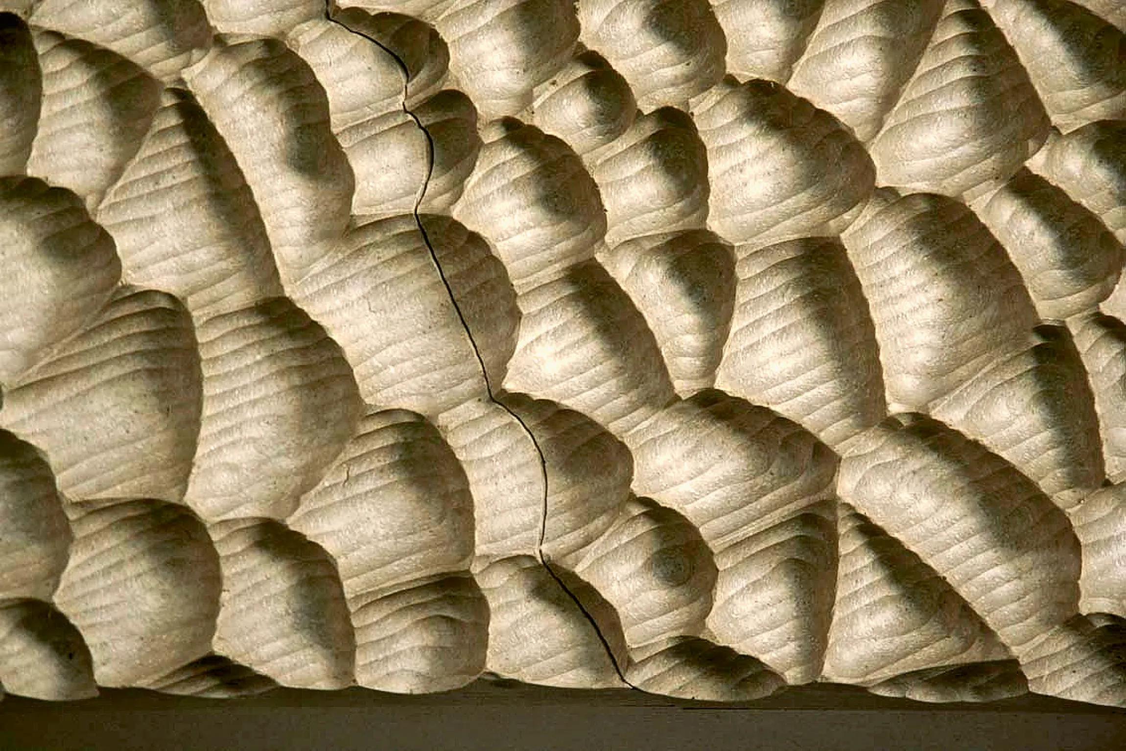 世界各大著名音乐厅图片,世界公认的顶级音乐厅