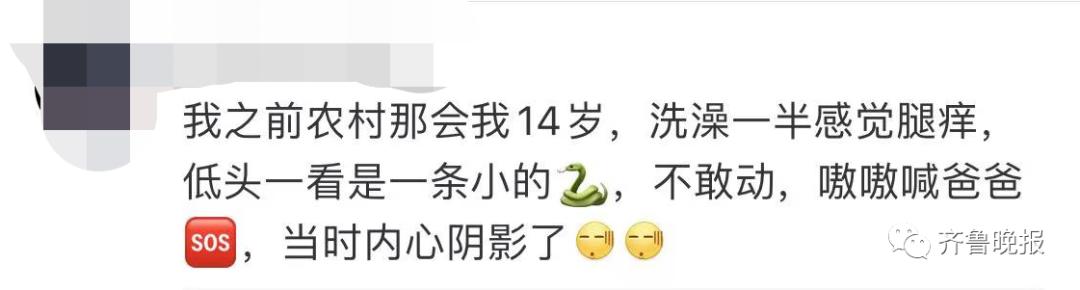 蛇总是偷吃鸡蛋怎么办,2米长蛇惊现居民楼