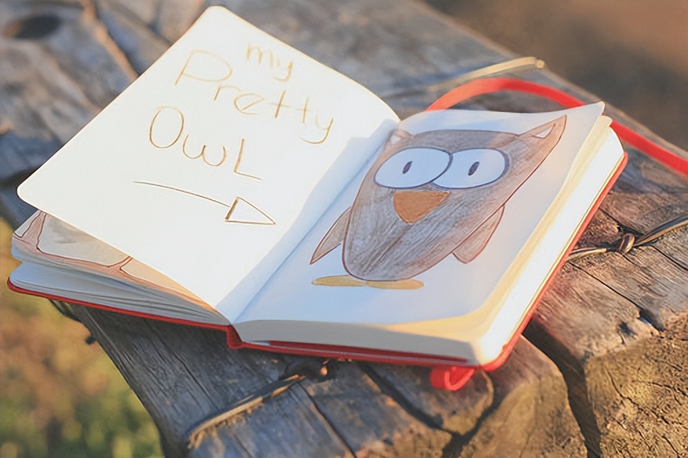 女人心态阳光的说说,关于人生哲理的心情说说