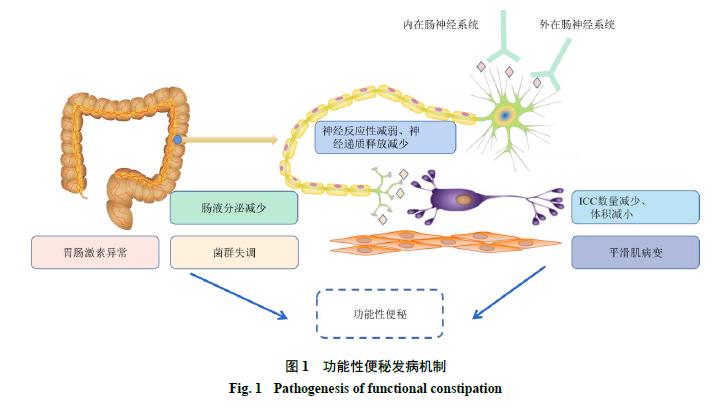 首荟通便胶囊治疗顽固性便秘吗,功能性便秘最快通便的方法
