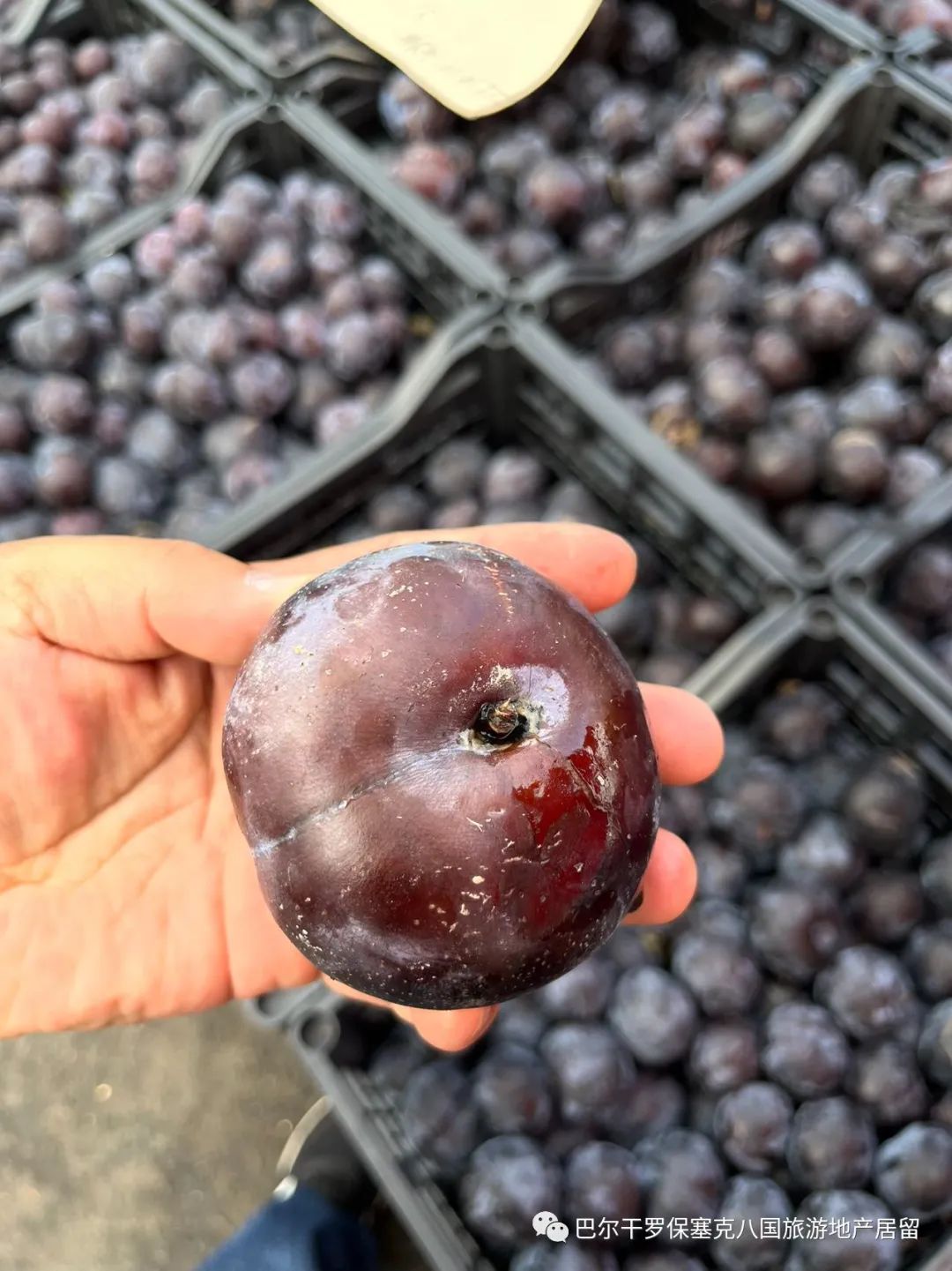 罗马尼亚蔬菜,罗马尼亚大型水果批发市场