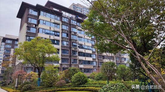 合肥滨湖招商雍华府附近规划,合肥省府中轴招商雍华府