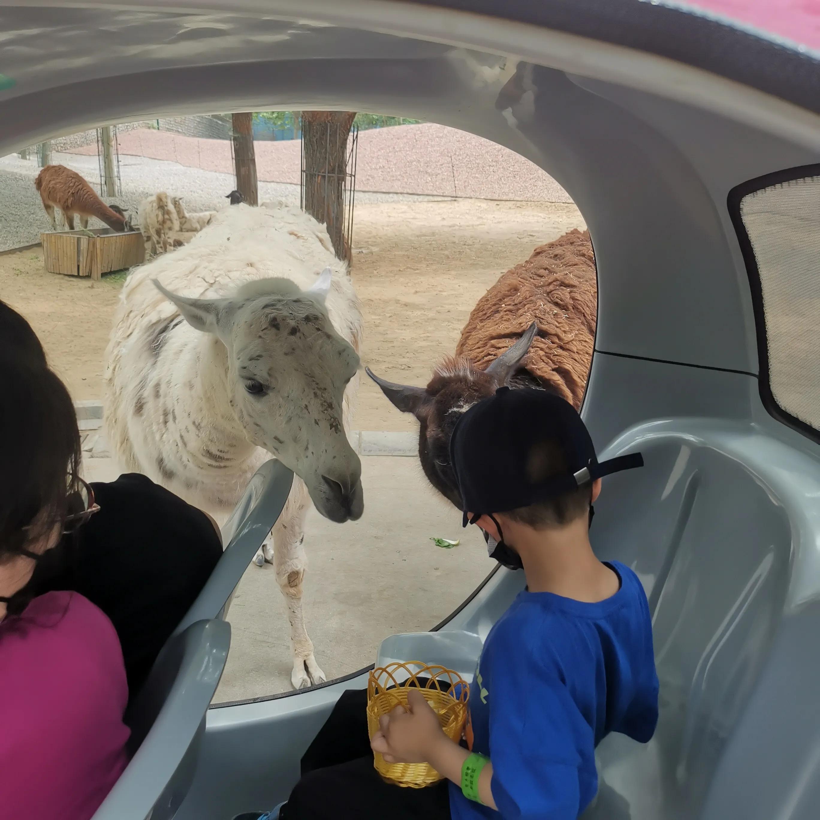 闰土的猹的梗,猹与闰土段子