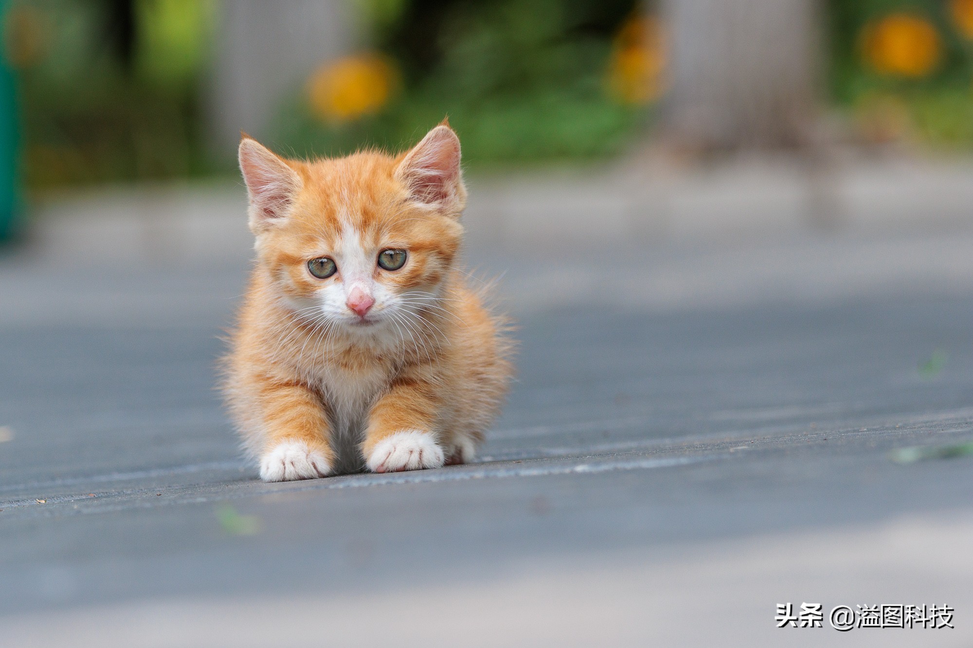 eosr7微单详细测评,佳能r7这款相机真的是值得买吗
