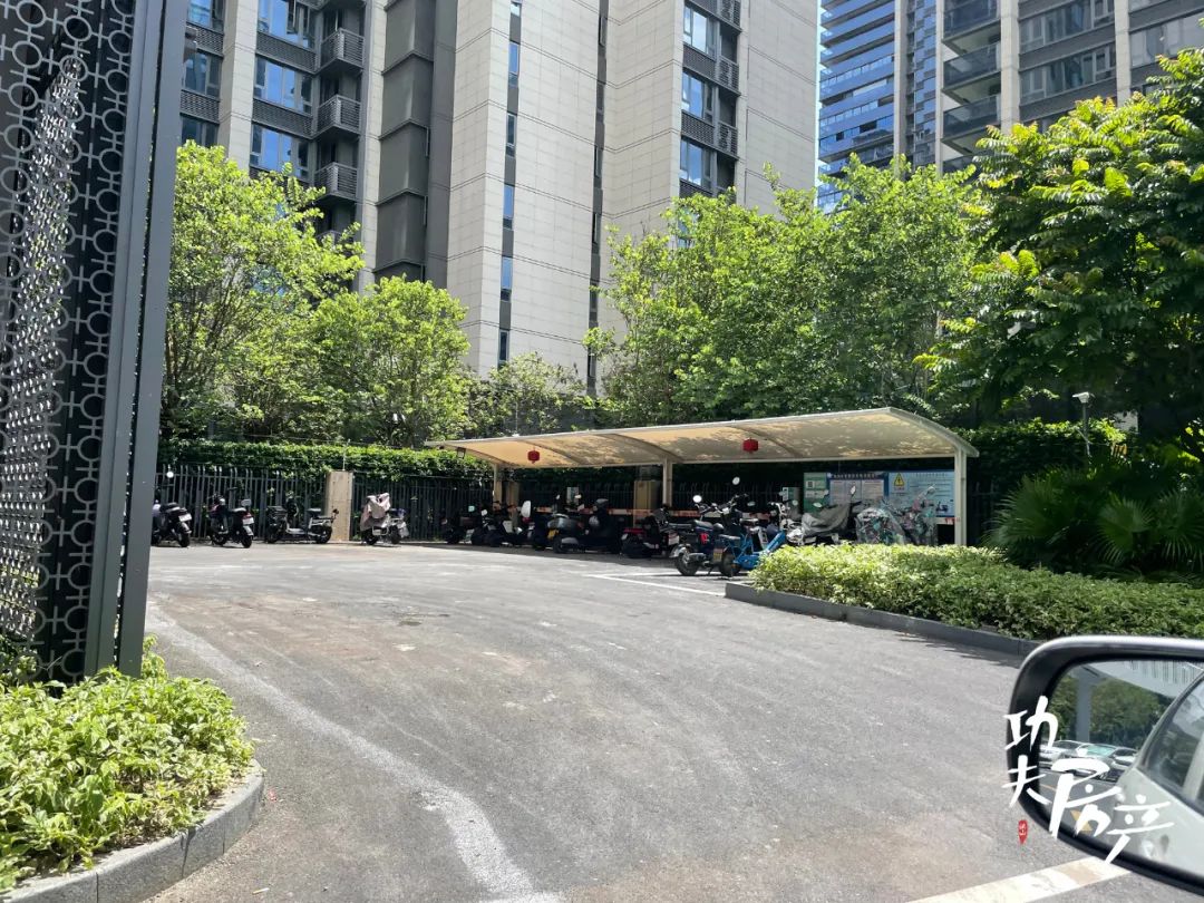 揭秘!10万+的天悦也很多*鸡电**!*鸡电**棚最豪的竟是它