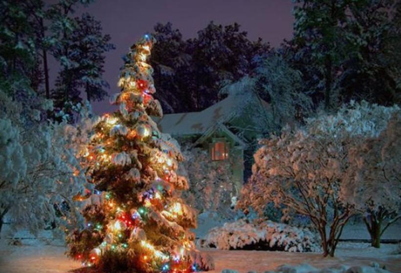 中国圣诞节圣诞树,义乌圣诞树赶不上圣诞节