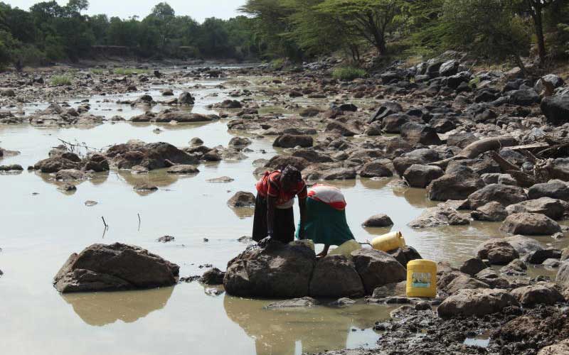被屎包围是一种什么体验？非洲的鱼告诉你，真的能把鱼“恶心”死