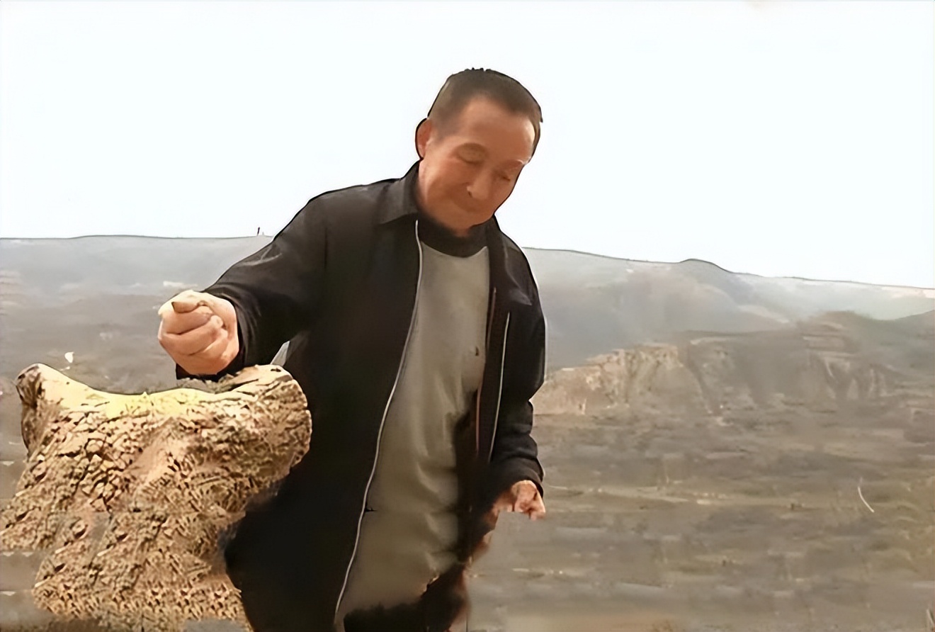 养凤凰的大爷后续,大爷养凤凰4年是真的吗