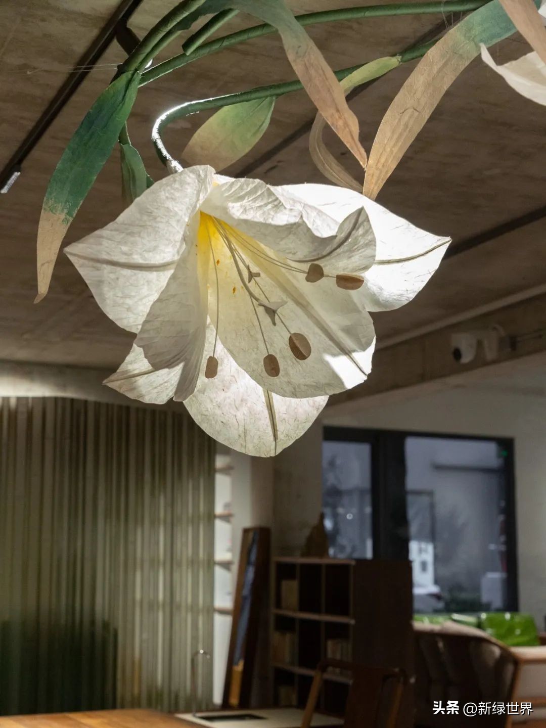 纸艺作品绘画,千变万化的纸艺术作品