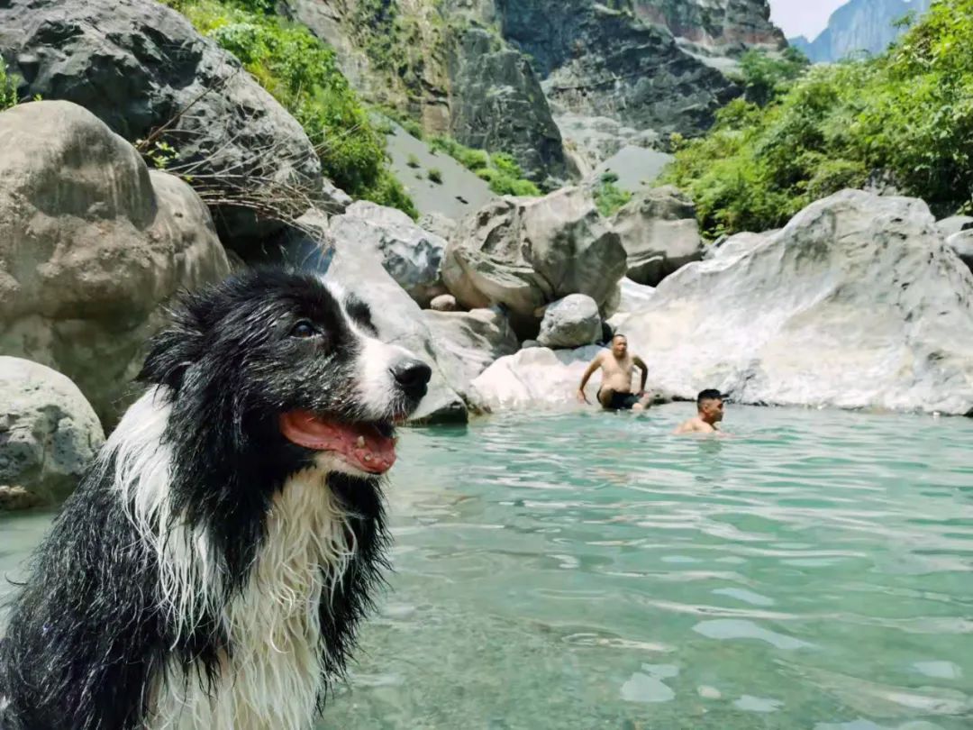 南川区金佛山旅游攻略,南川金佛山一日自驾游攻略