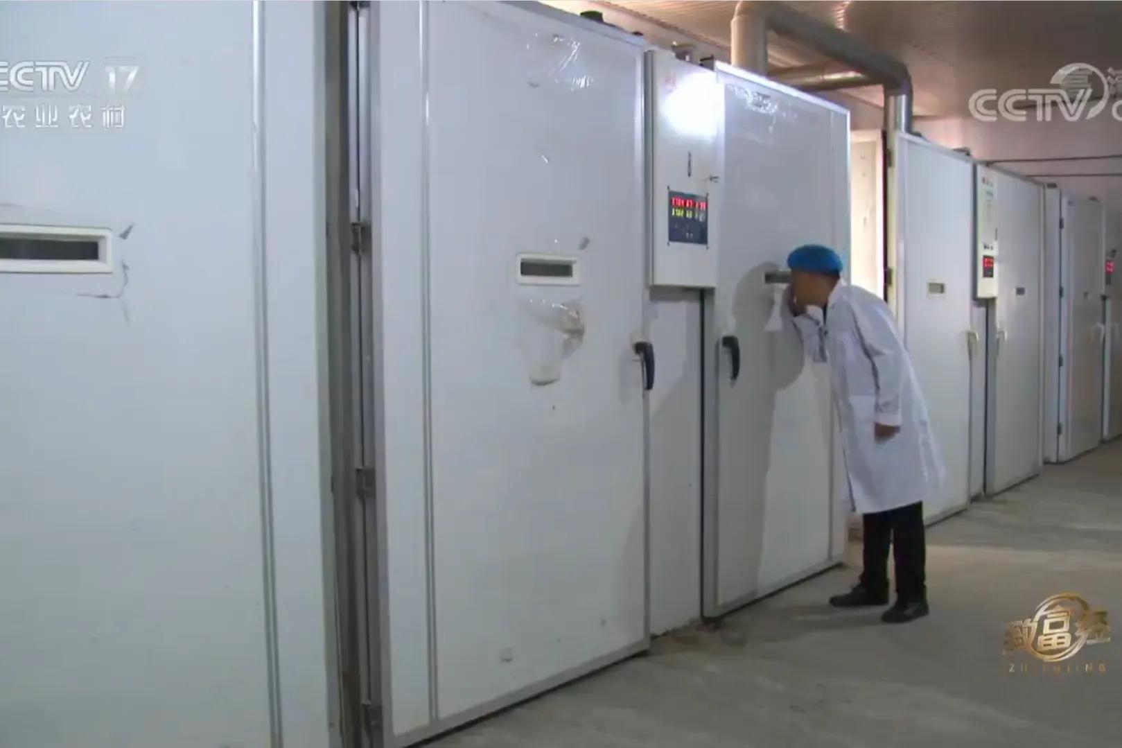 200亩荒山变成聚宝盆,荒山摇身一变成村民聚宝盆