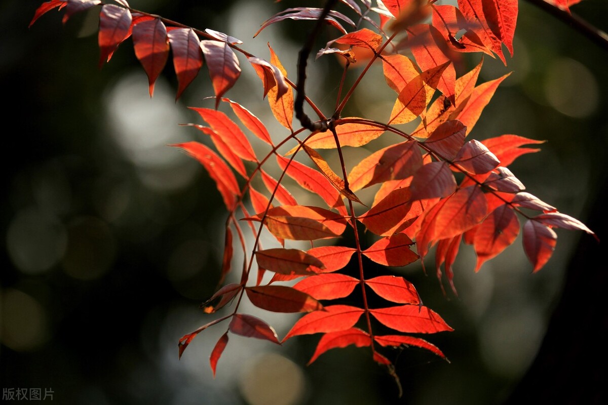 你善于适度认怂，有时候能避免*麻大**烦，职场之路走得更顺