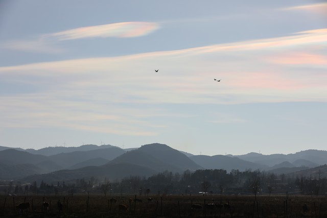 2023年5月25日,2021年2月25日每日运程