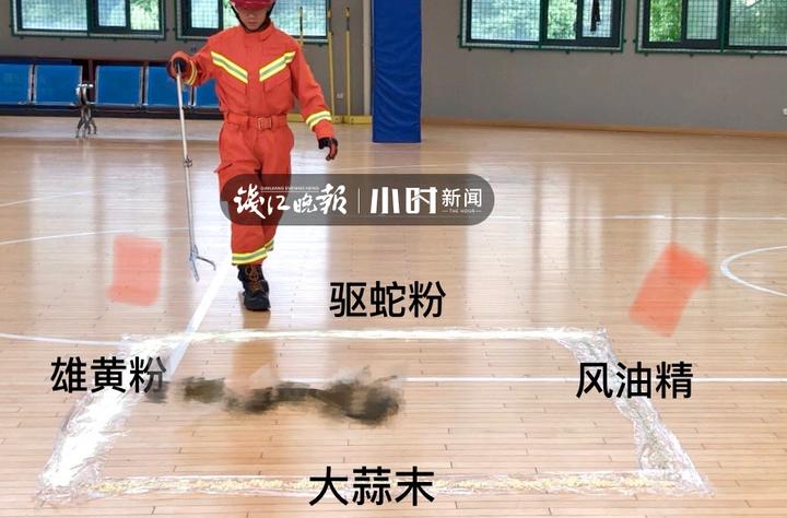 一男子发现蛇窝,挖蛇窝发现30条蛇