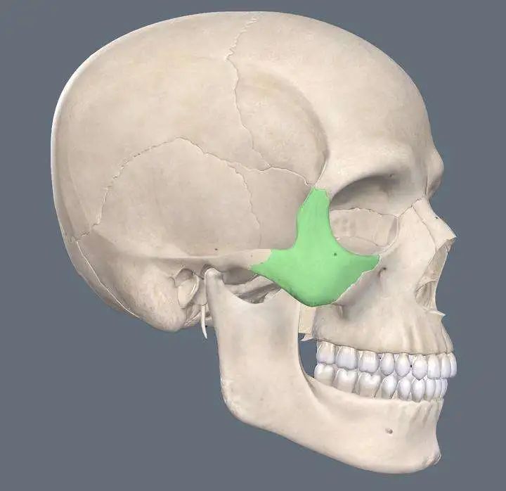 颧骨外扩怎么科学改善,怎么判断是颧骨突出还是颧弓外扩