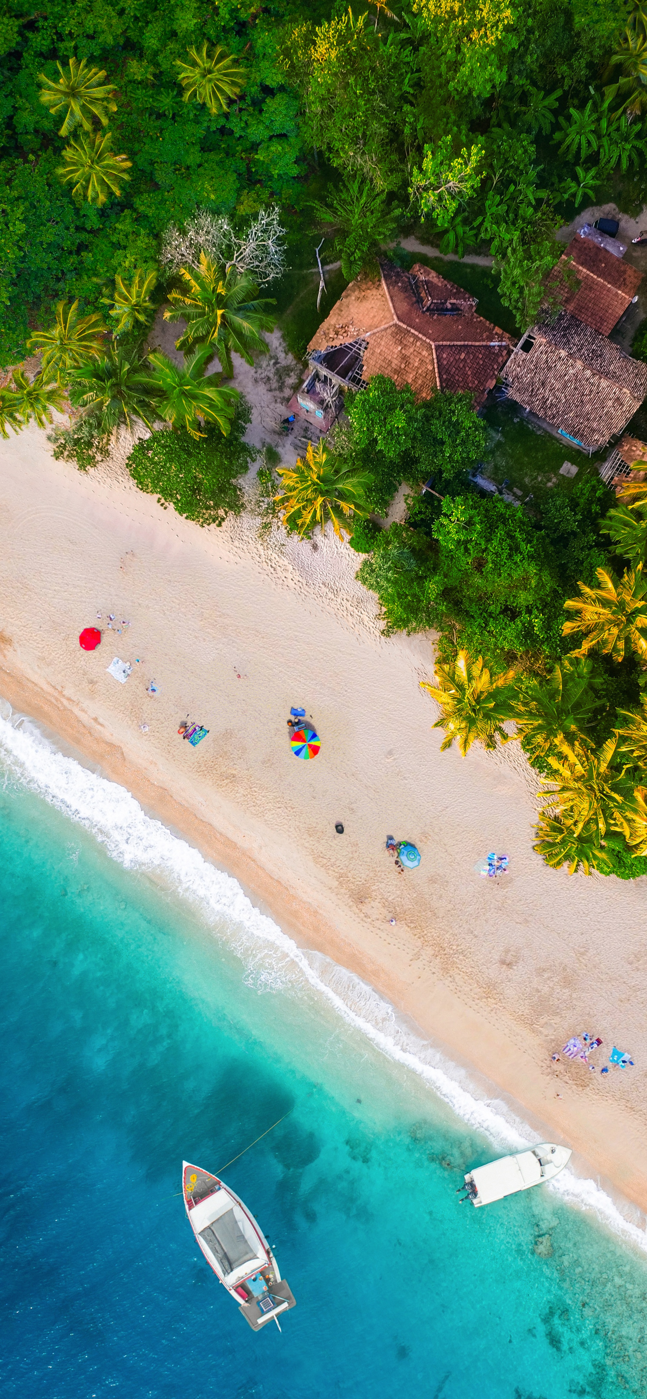 早安竖屏手机壁纸,早安图片最新手机壁纸