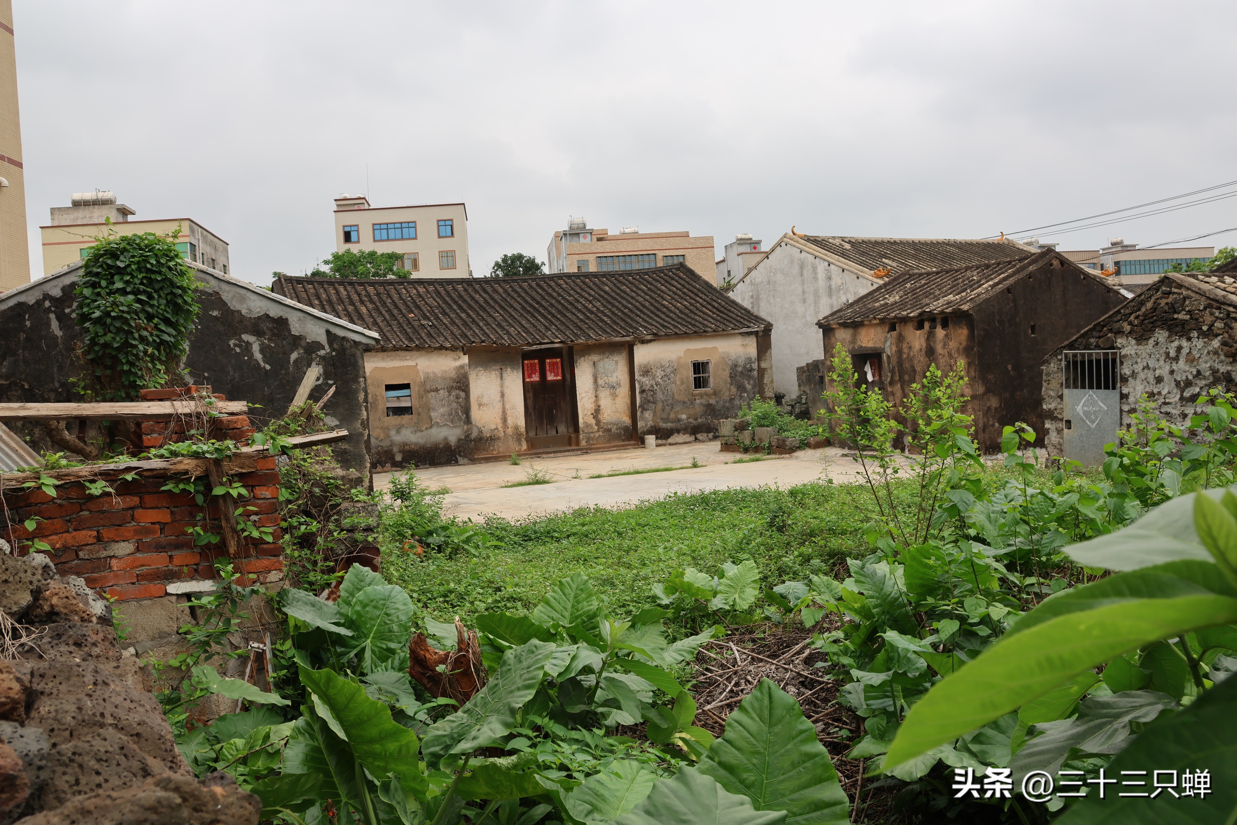 海口王氏宗祠在哪里,海口长流堂善村的人