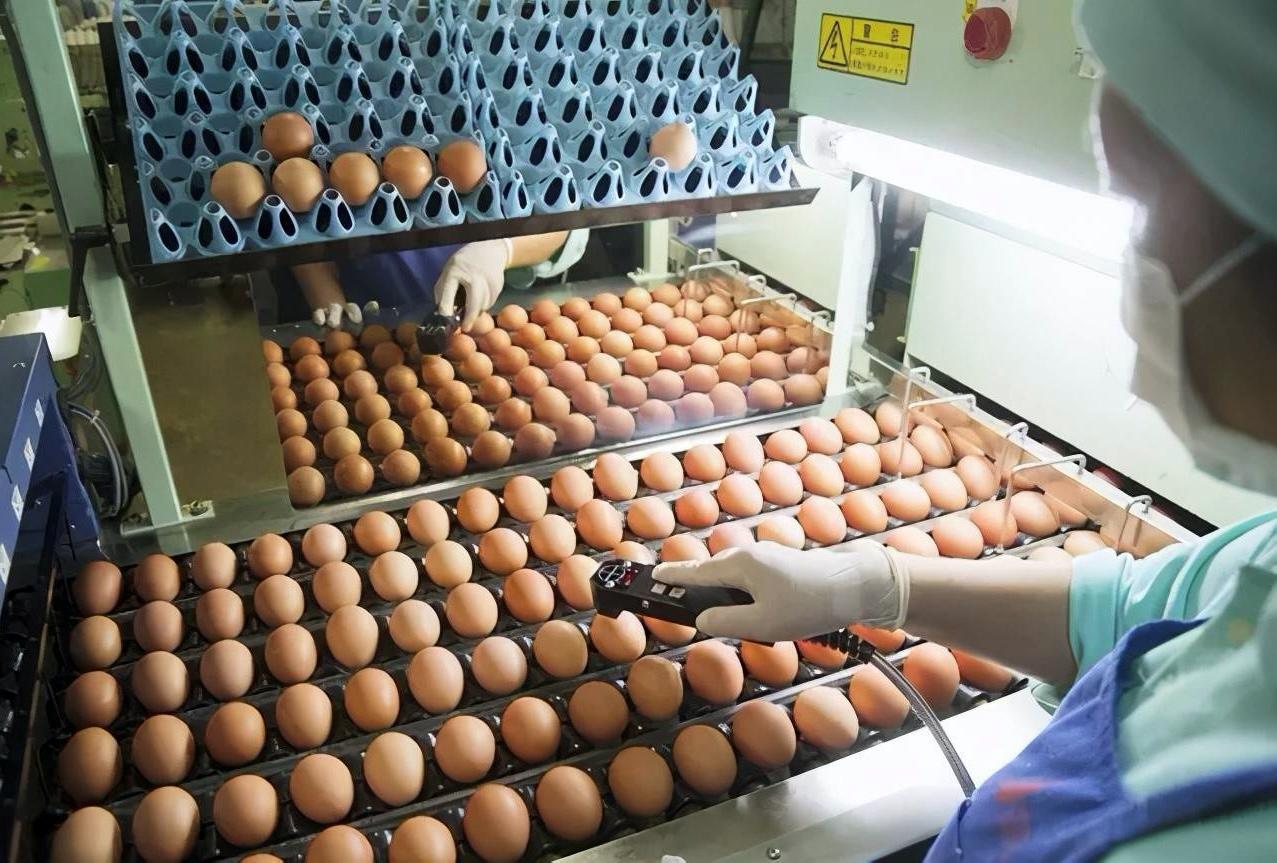 真“鲜”预警！又一天猫趋势美食上新，可生食鸡蛋成吃货新宠