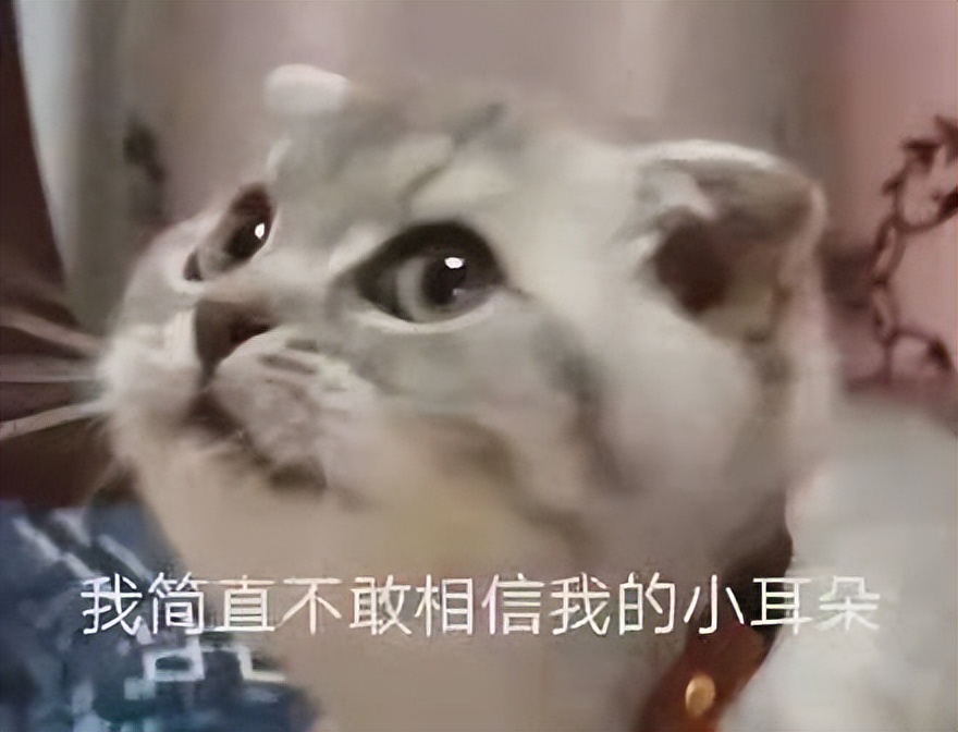 苹果13小技巧隐藏功能,苹果11promax怎么隐藏软件