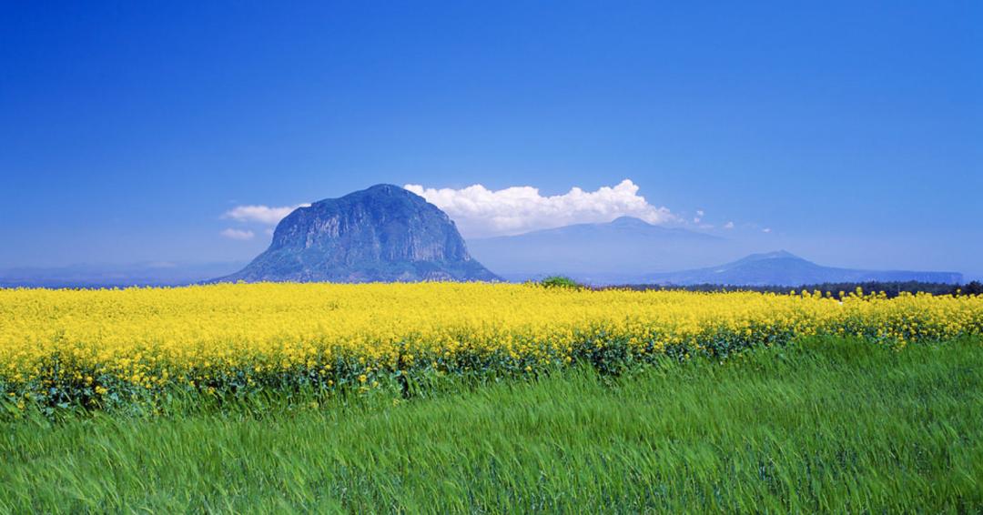 2023免签或落地签自由行国家推荐,免签落地签值得去的国家