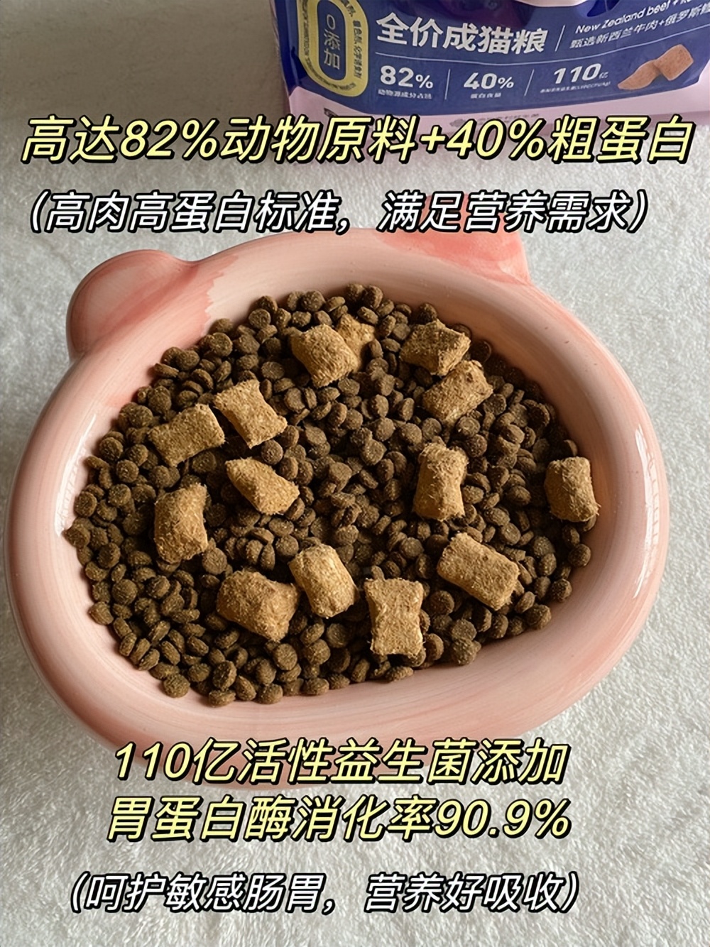 小猫不喝药怎么喂,未满月的小猫怎么喂羊奶粉
