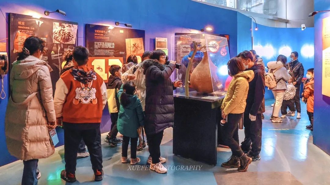 倒计时两天！最近上海的阿姨爷叔都赶来这排队