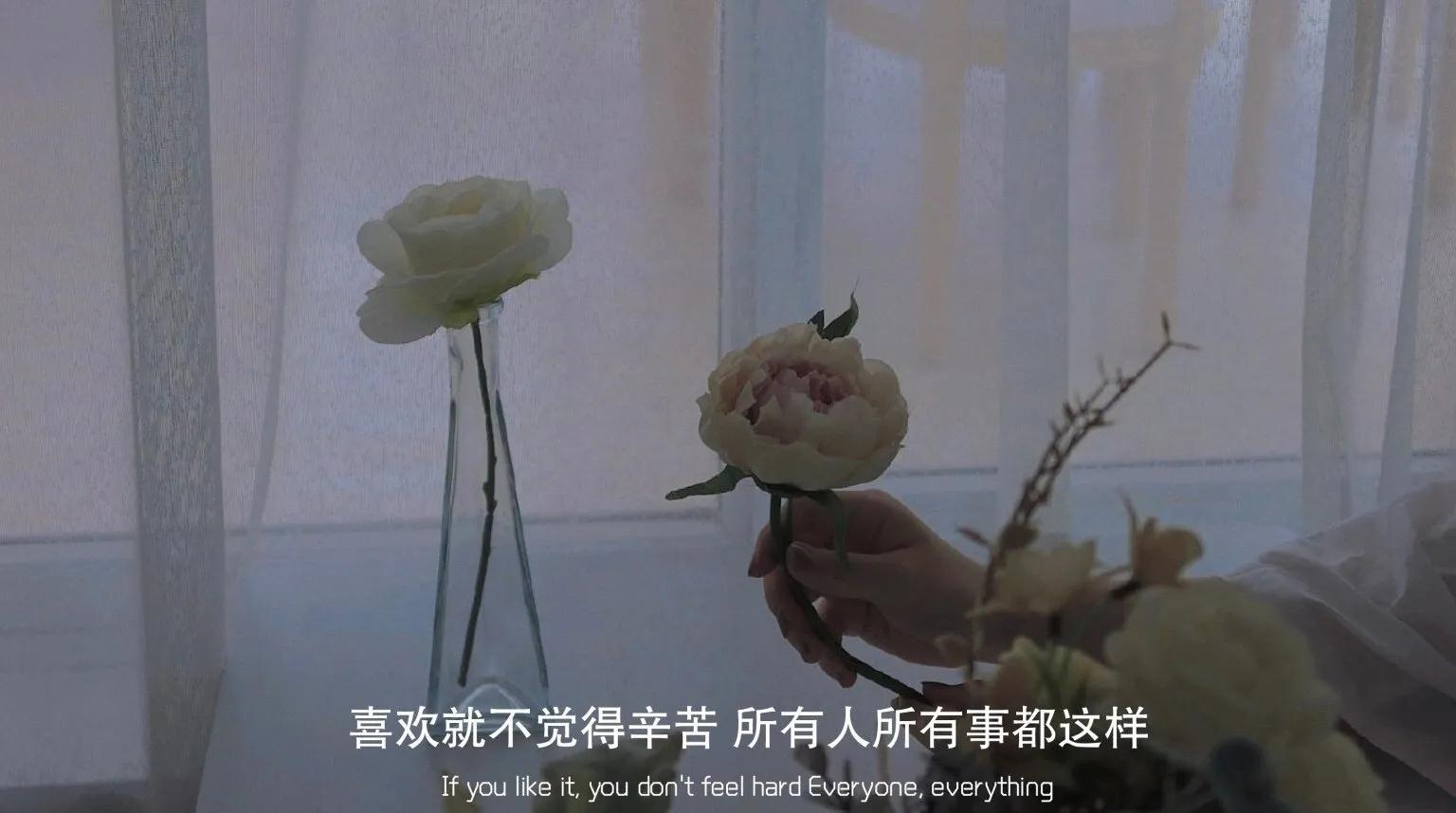 蔡徐坤文字控背景图,正能量文字控背景图