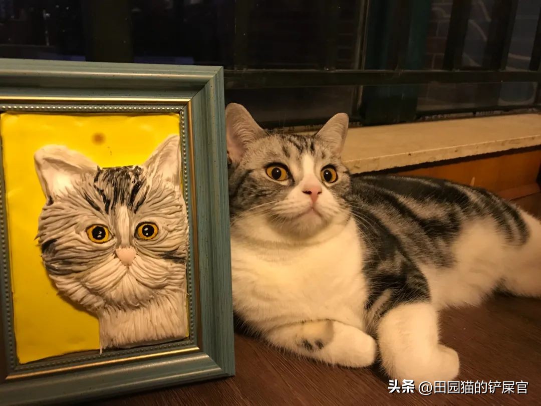 2018年全国宠物展排期表,深圳宠物展会2021排期明细表