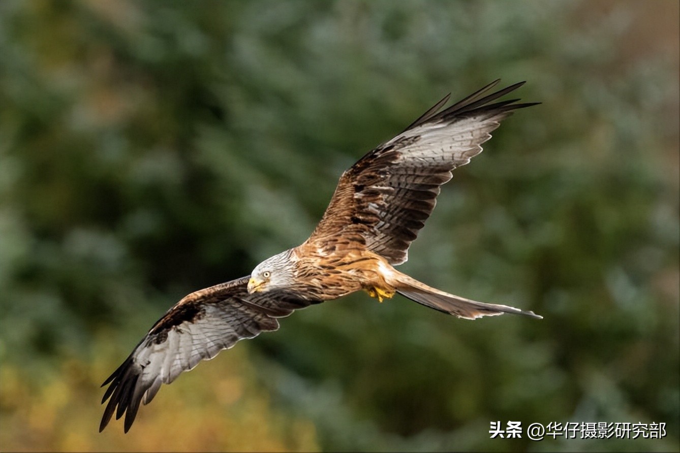 佳能r7与索尼a6400,佳能微单r7和r6哪个级别高些