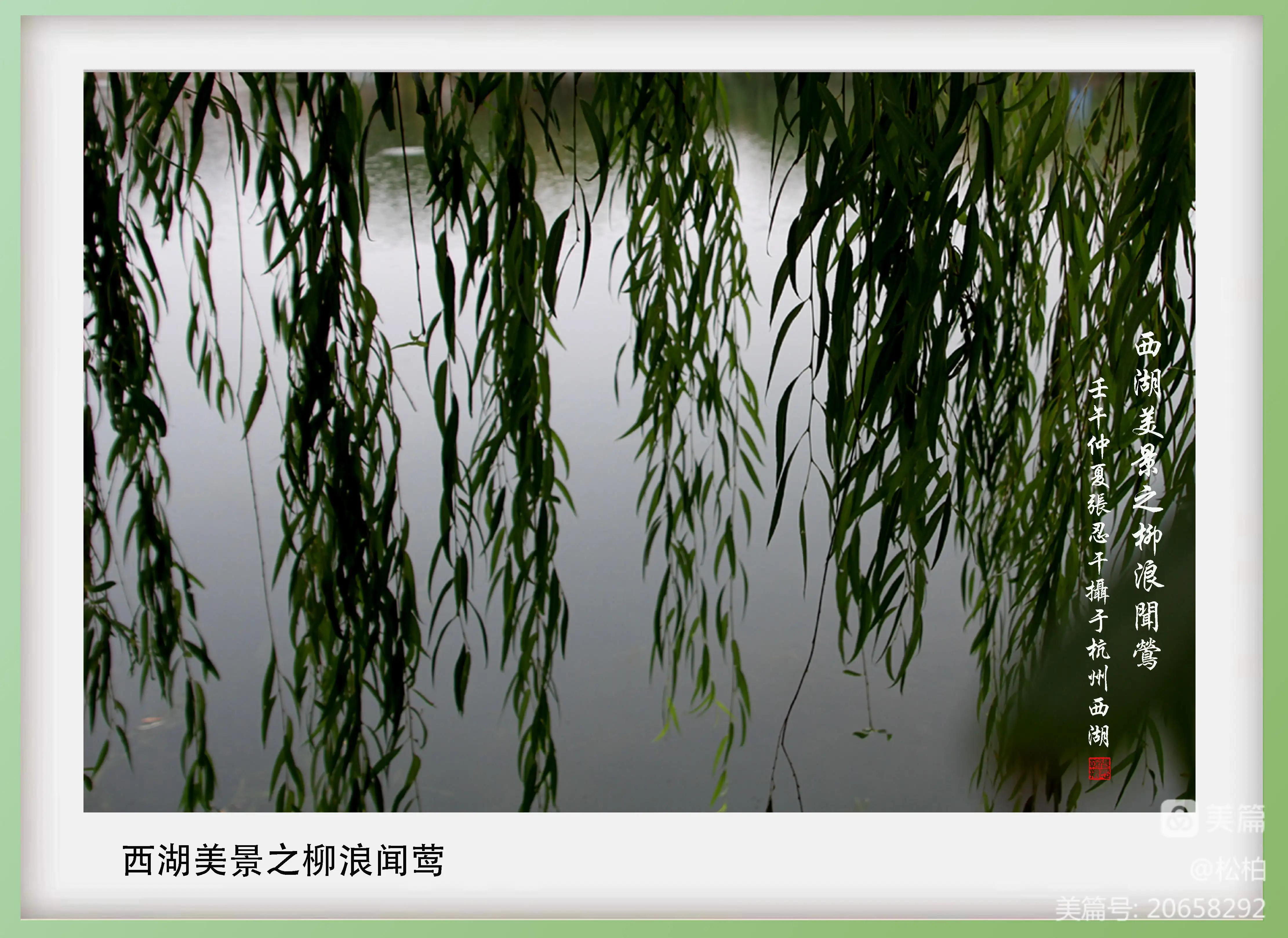 诗图战友情（十三）天堂西湖景