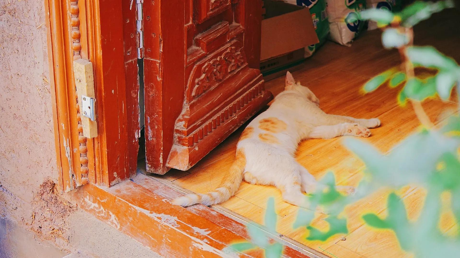 喀什葛尔,喀什葛尔的魅力