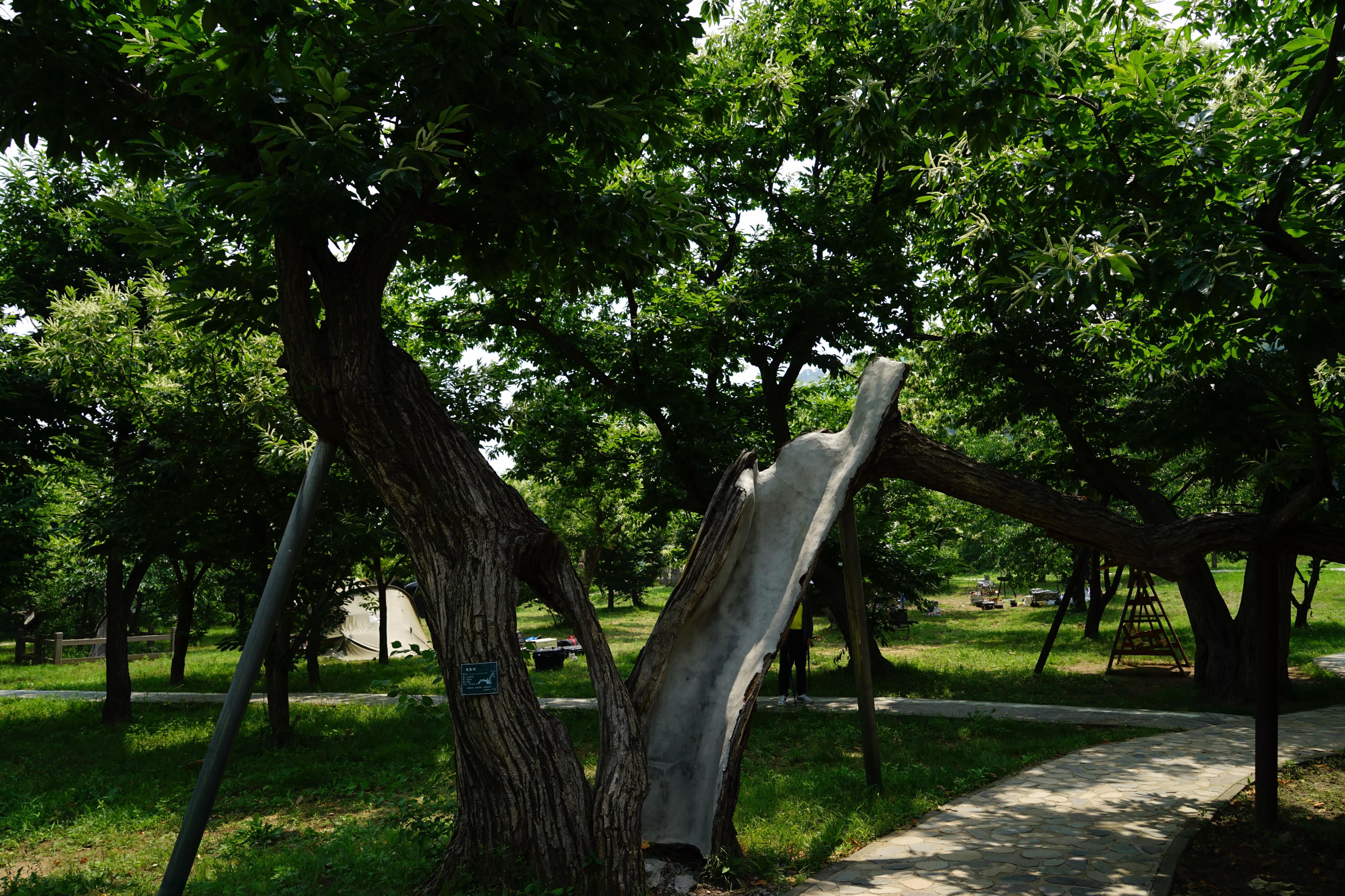 怀柔黄花城水长城简介,怀柔黄花城水长城旅游攻略