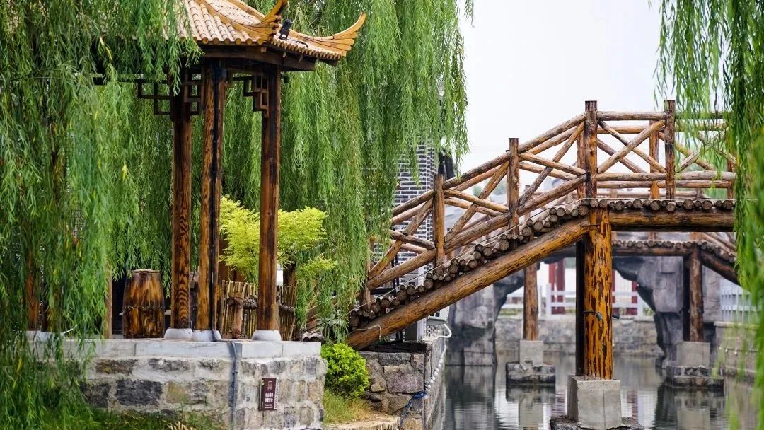 山东人的家乡情结,山东人远方的家乡