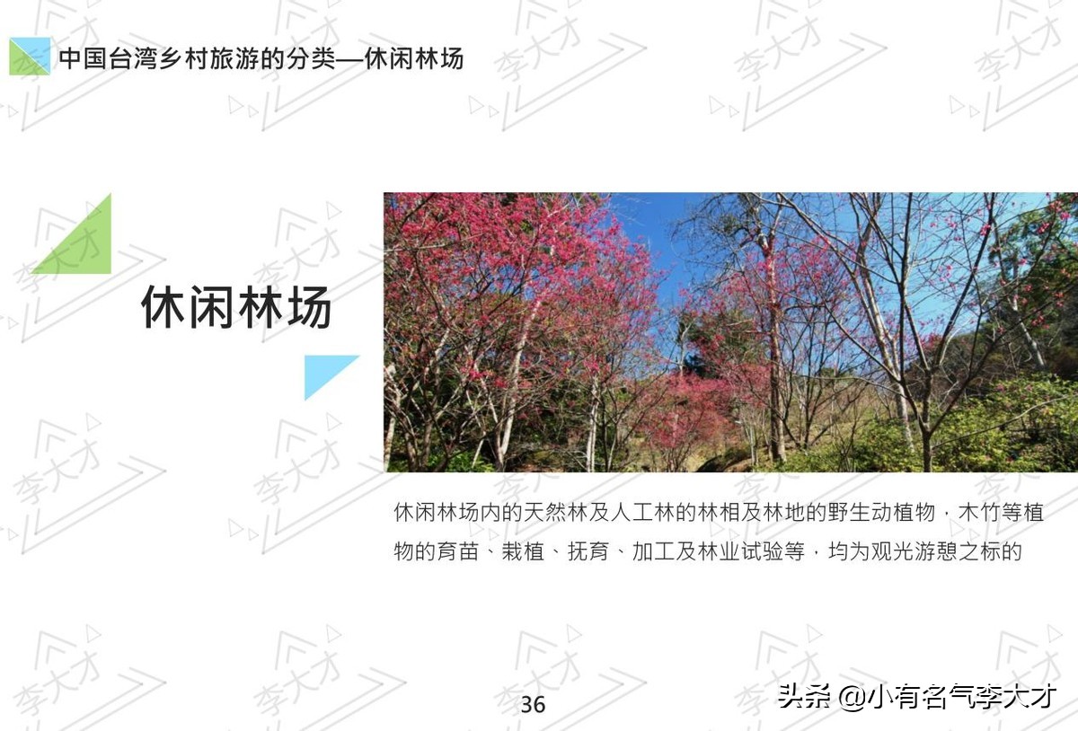 台湾乡村振兴战略案例,中国乡村振兴实施的成功案例