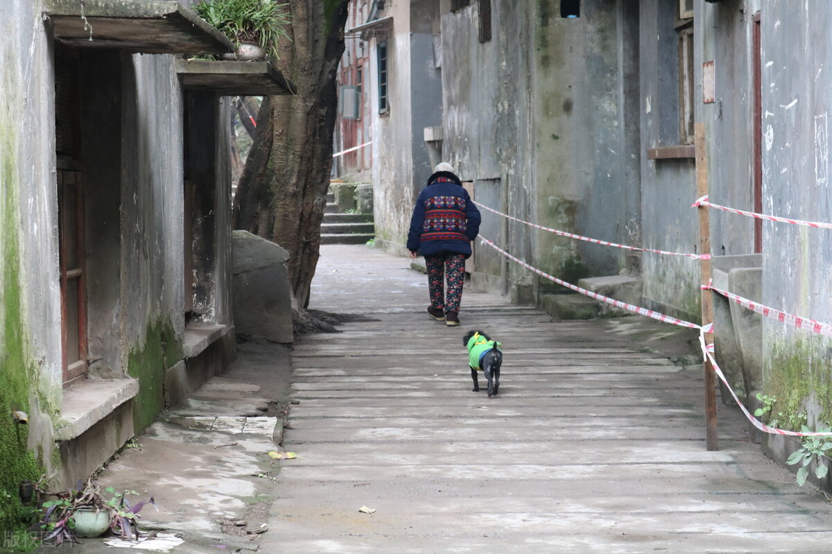轮流式养老看似公平,轮流式养老是幸福还是无奈