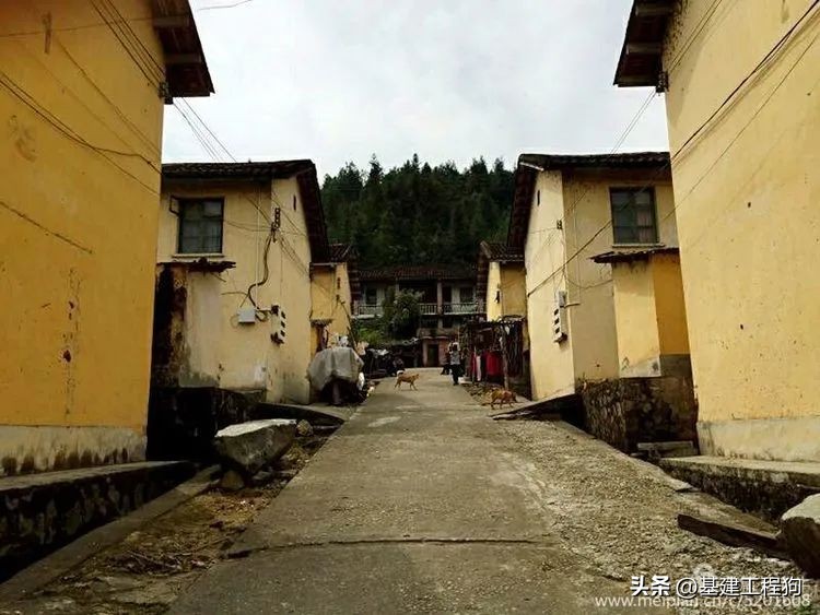 难忘啊老知青,基建工程兵31支队303团历史