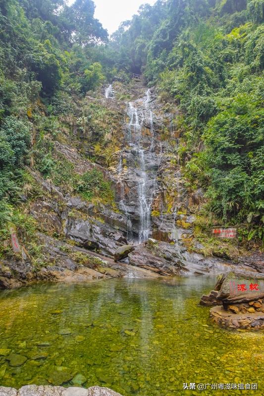 来绿林润肺放肆“森”呼吸，体验全新肇庆喜来登酒