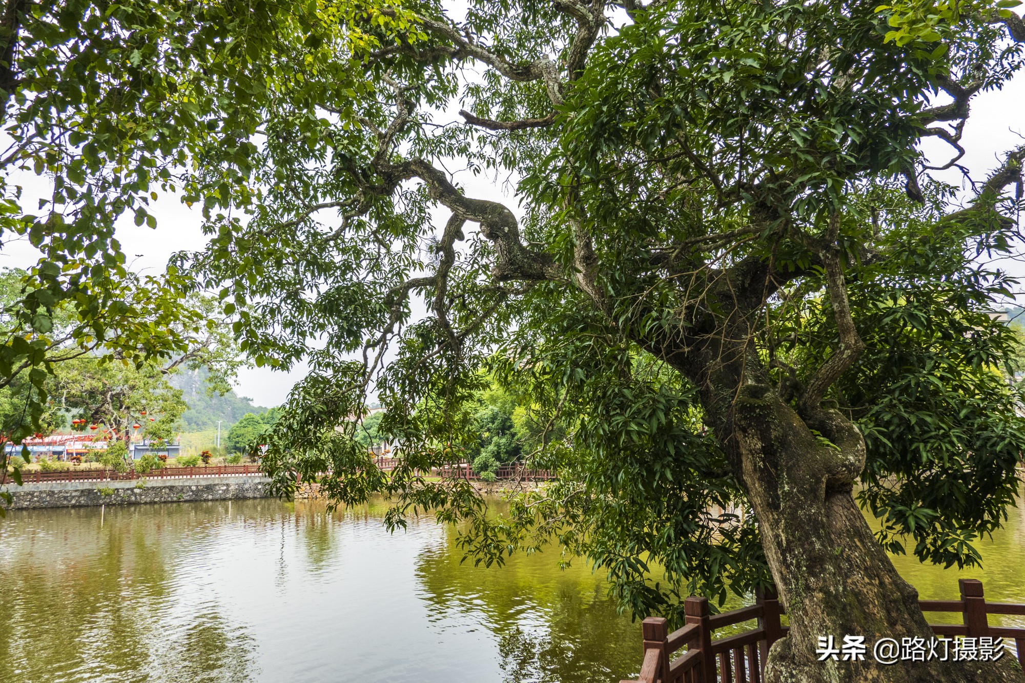 广东看海宜居的地方,广东最佳养老宜居海边小镇前十名