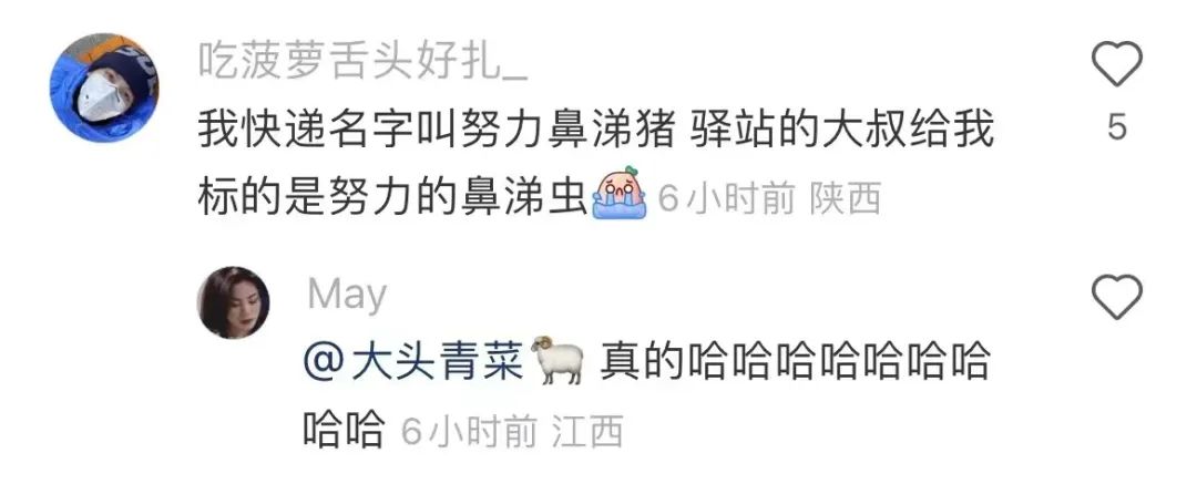 快递已被狗签收 (您的快递已被狗签收)