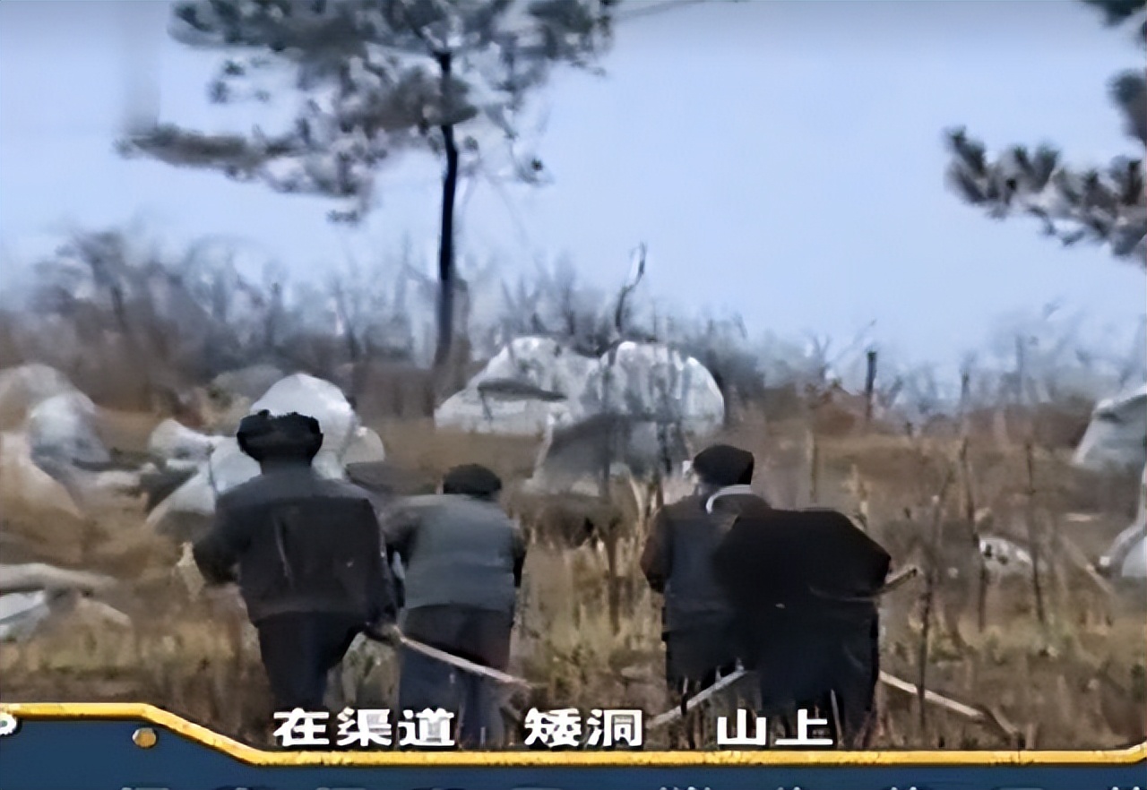 女儿死后托梦给妈妈挖棺材,母亲刚死7天托梦儿子挖棺