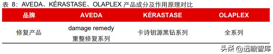 新一代高端洗护新品,高端洗护产品