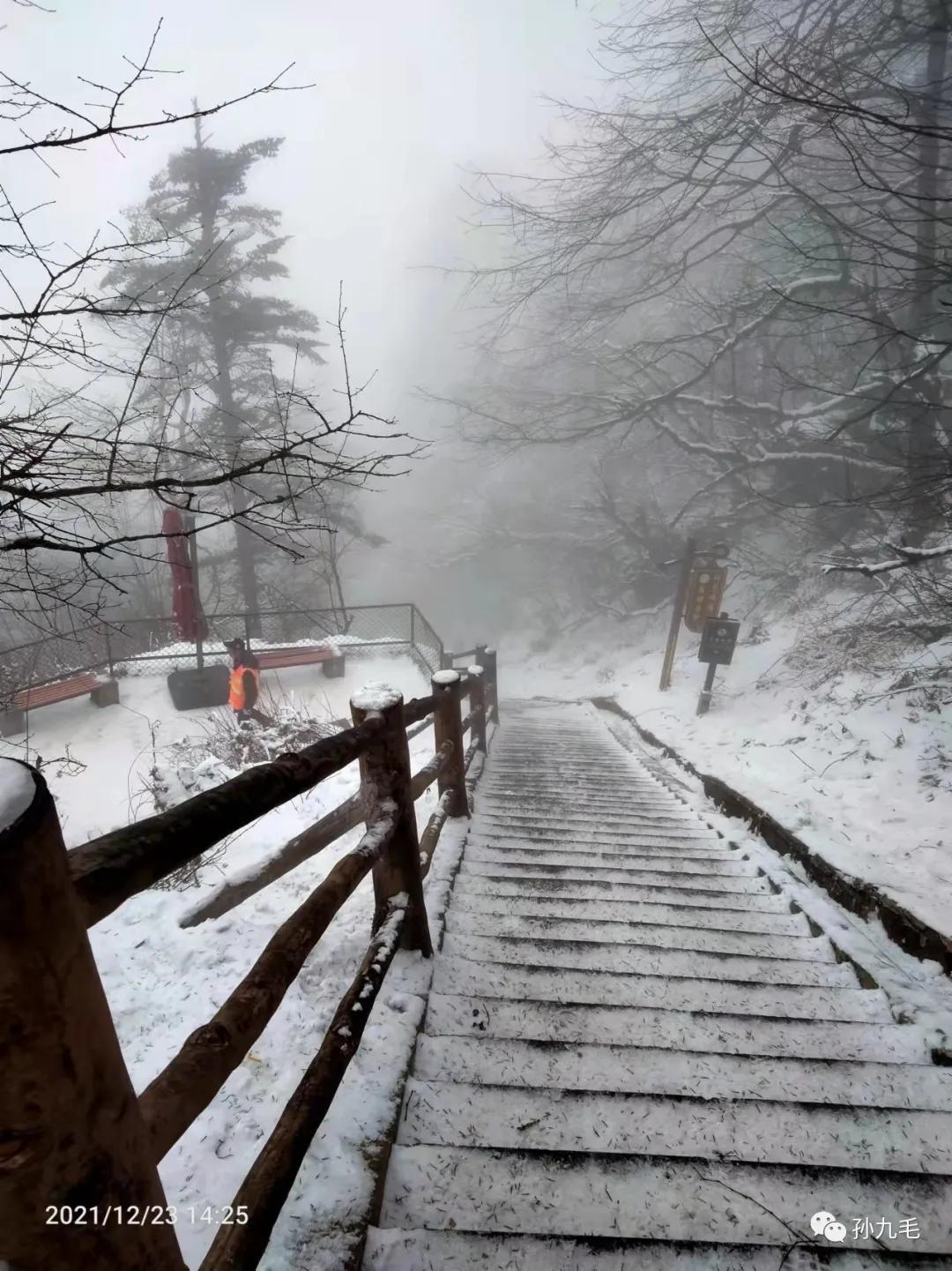 廉价旅行团的真实感受,不购物的廉价旅游团内幕