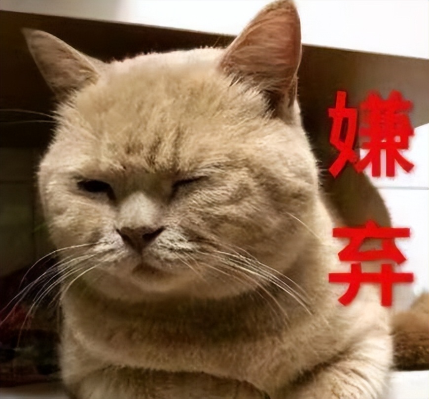 专治牙黄口臭的牙粉效果最好,去牙黄最有效的牙粉测评